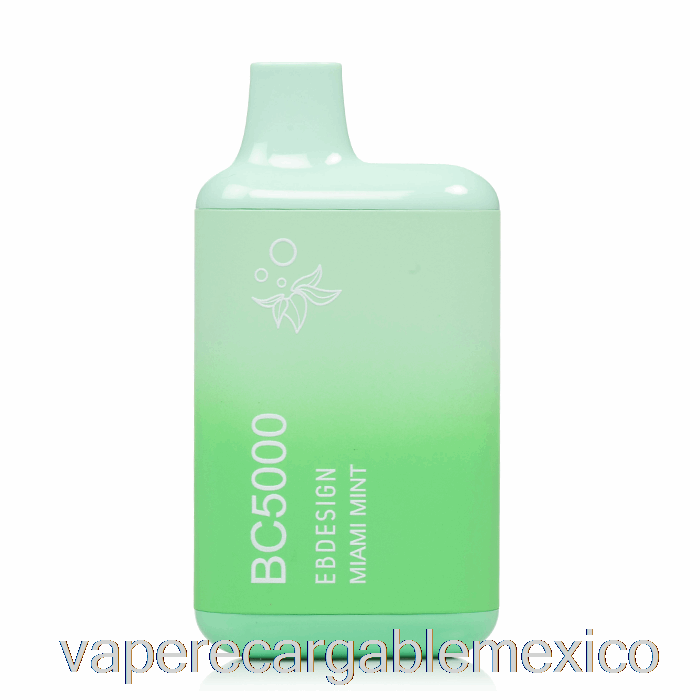 Vaporizador Recargable Bc5000 Desechable Miami Mint